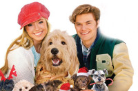 12 Dogs of Christmas: Great Puppy Rescue