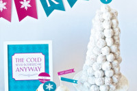 Still Not Too Cold For More Frozen Fun?