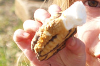 Celebrate the Glorious Gooeyness of National S’More Day