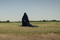The Woman in the Yard The Woman in the Yard