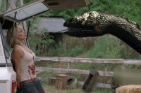 Anaconda Anaconda