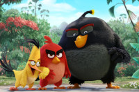 The Angry Birds Movie