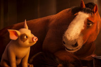 Animal Farm Animal Farm