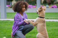 Annie (2014)