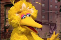 Big Bird and Pals Are Headed to HBO