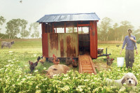 The Biggest Little Farm