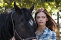 Black Beauty Black Beauty