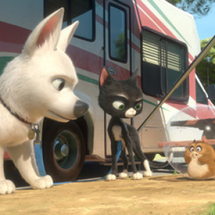 Bolt