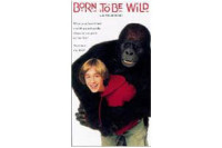 Born To Be Wild Born To Be Wild