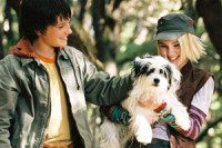 Bridge to Terabithia