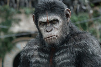 Dawn of the Planet of the Apes