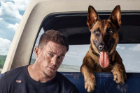 Dog Dog