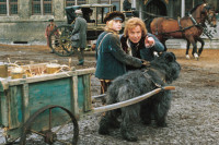 A Dog Of Flanders A Dog Of Flanders