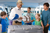 Dolphin Tale
