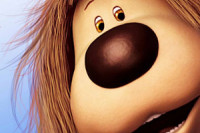 Doogal