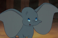 Dumbo