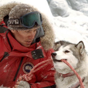 Eight Below