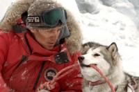 Eight Below