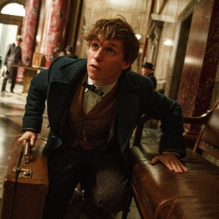 Fantastic Beasts and Where To Find Them