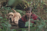 Far From Home: The Adventures Of Yellow Dog Far From Home: The Adventures Of Yellow Dog