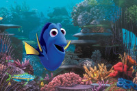 Finding Dory Finding Dory