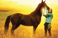 Flicka 2