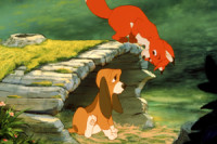 The Fox And The Hound