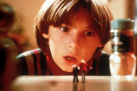 Honey, We Shrunk Ourselves Honey, We Shrunk Ourselves