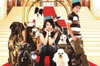 Hotel For Dogs