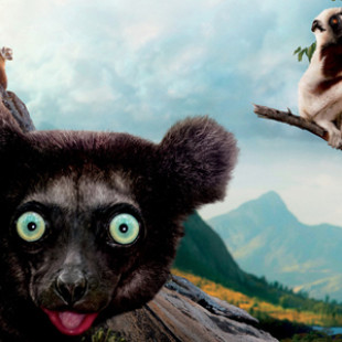 Island of Lemurs: Madagascar