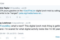 What Happens When Outrage Spawns “Digital Lynch Mob”