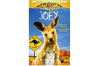 Joey Joey