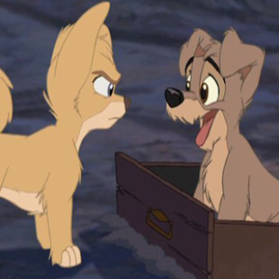 Lady And The Tramp 2: Scamp’s Adventure
