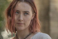 Lady Bird Lady Bird