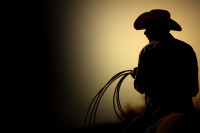 The Last Rodeo The Last Rodeo
