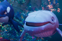 The Last Whale Singer The Last Whale Singer