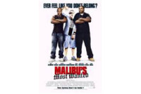Malibu’s Most Wanted (2003) Malibu’s Most Wanted (2003)