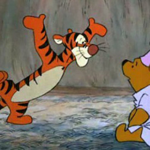 The Many Adventures Of Winnie The Pooh