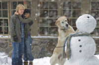 Marley & Me