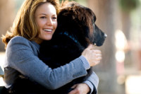 Must Love Dogs Must Love Dogs