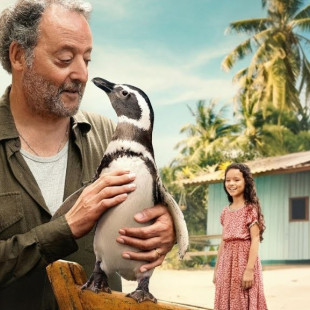 My Penguin Friend