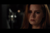 Nocturnal Animals Nocturnal Animals