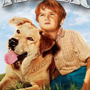 Old Yeller