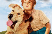 Old Yeller