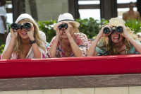 The Other Woman