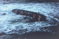 The Poseidon Adventure