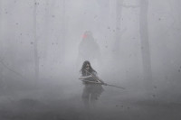 Prey Prey