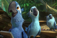 Rio 2 Rio 2