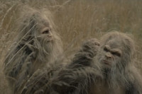 Sasquatch Sunset Sasquatch Sunset
