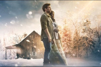 The Shack The Shack